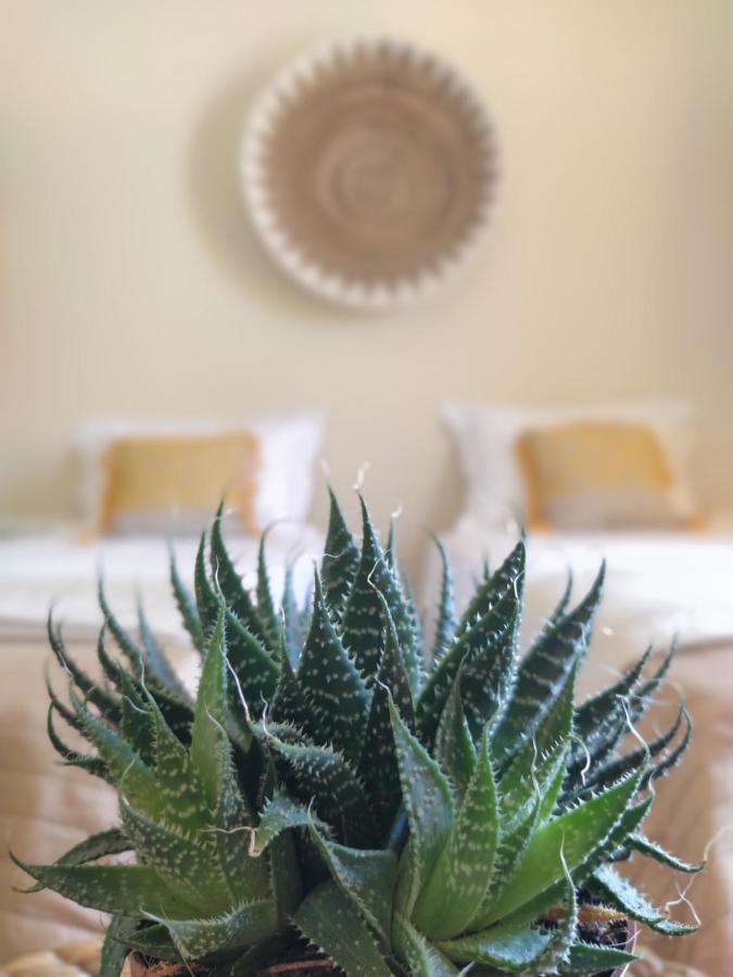 אגיוס גיורגיוס Sole Verde מראה חיצוני תמונה
